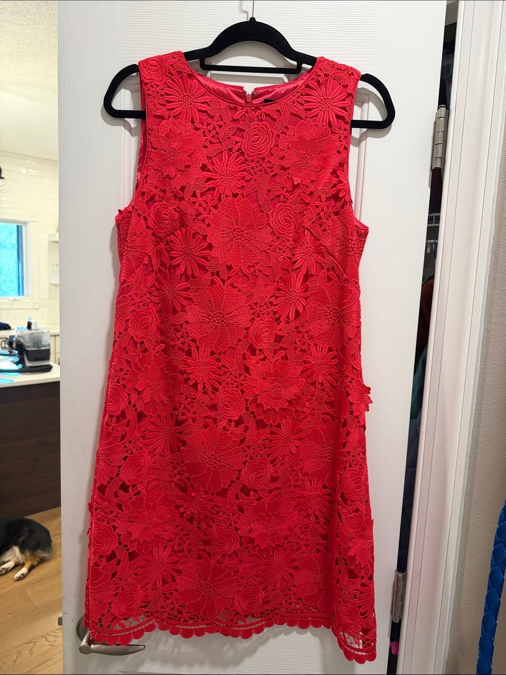 White House Black Market fuchsia Floral Lace Sleeveless Shift Dress NWT size 8